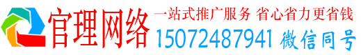 大名官理sem运营